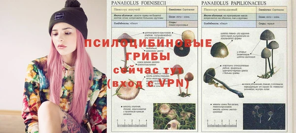 гашиш Алексеевка